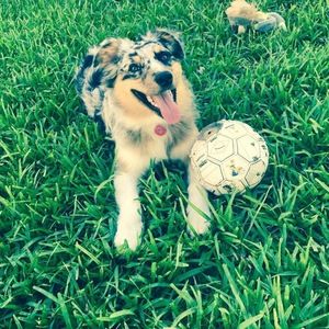 Meet your Posher, Jeanpaul